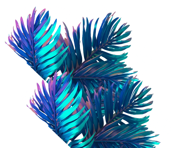 palm