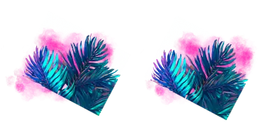 palm
